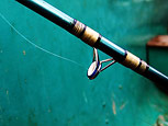 Fishing Rod